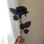 rose gothique elegante pour une decoration unique noir 704 1