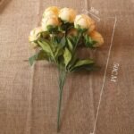 rose naturelle de haute qualite 630 1