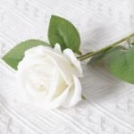 roses artificielles elegantes pour une decoration intemporelle 748 1