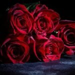 roses artificielles elegantes pour une decoration intemporelle rose 127 1