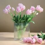 tulipes perroquet beaute eclatante pour votre jardins 176 1