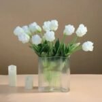 tulipes perroquet beaute eclatante pour votre jardins 548 1