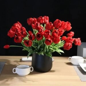 tulipes perroquet beaute eclatante pour votre jardins 714 1
