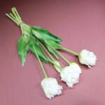 Tulipes Perroquet: Beauté éclatante Pour Votre Jardins - Blanc