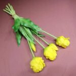 tulipes perroquet beaute eclatante pour votre jardins jaune 593 1