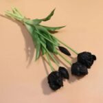 tulipes perroquet beaute eclatante pour votre jardins noir 673 1