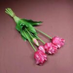 Tulipes Perroquet: Beauté éclatante Pour Votre Jardins - Rose