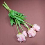 Tulipes Perroquet: Beauté éclatante Pour Votre Jardins - Rose Clair