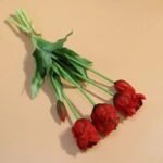 tulipes perroquet beaute eclatante pour votre jardins rouge 268 1